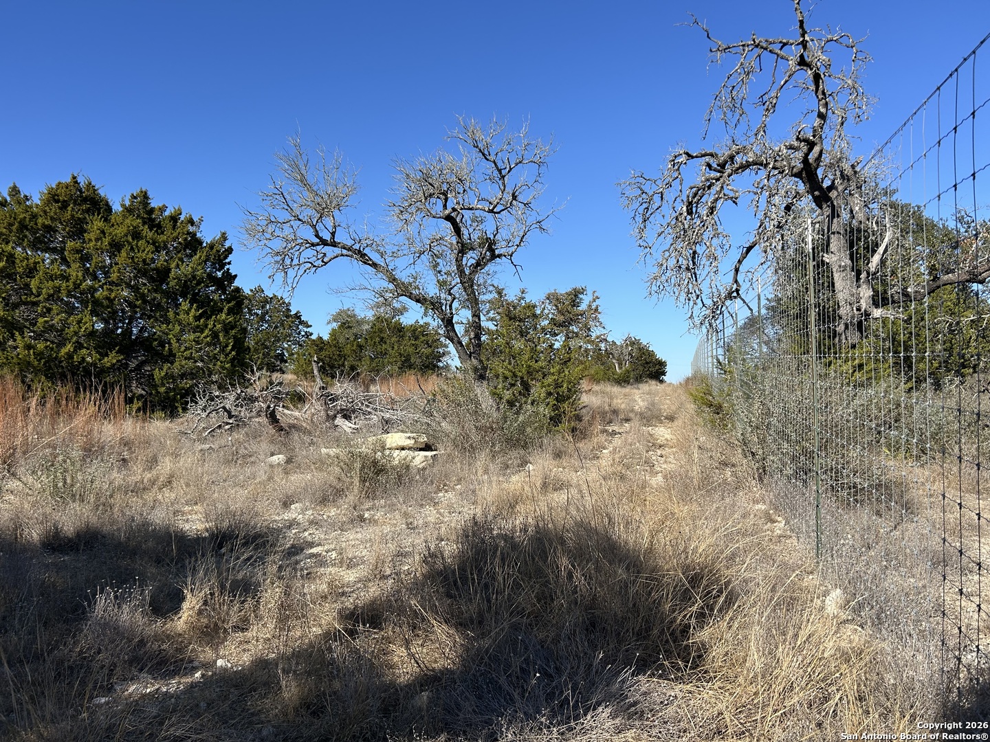 Lot 47 Ashtons Way Kerrville, TX 78028 - Photo 17 of 25 a view of a tree in a field