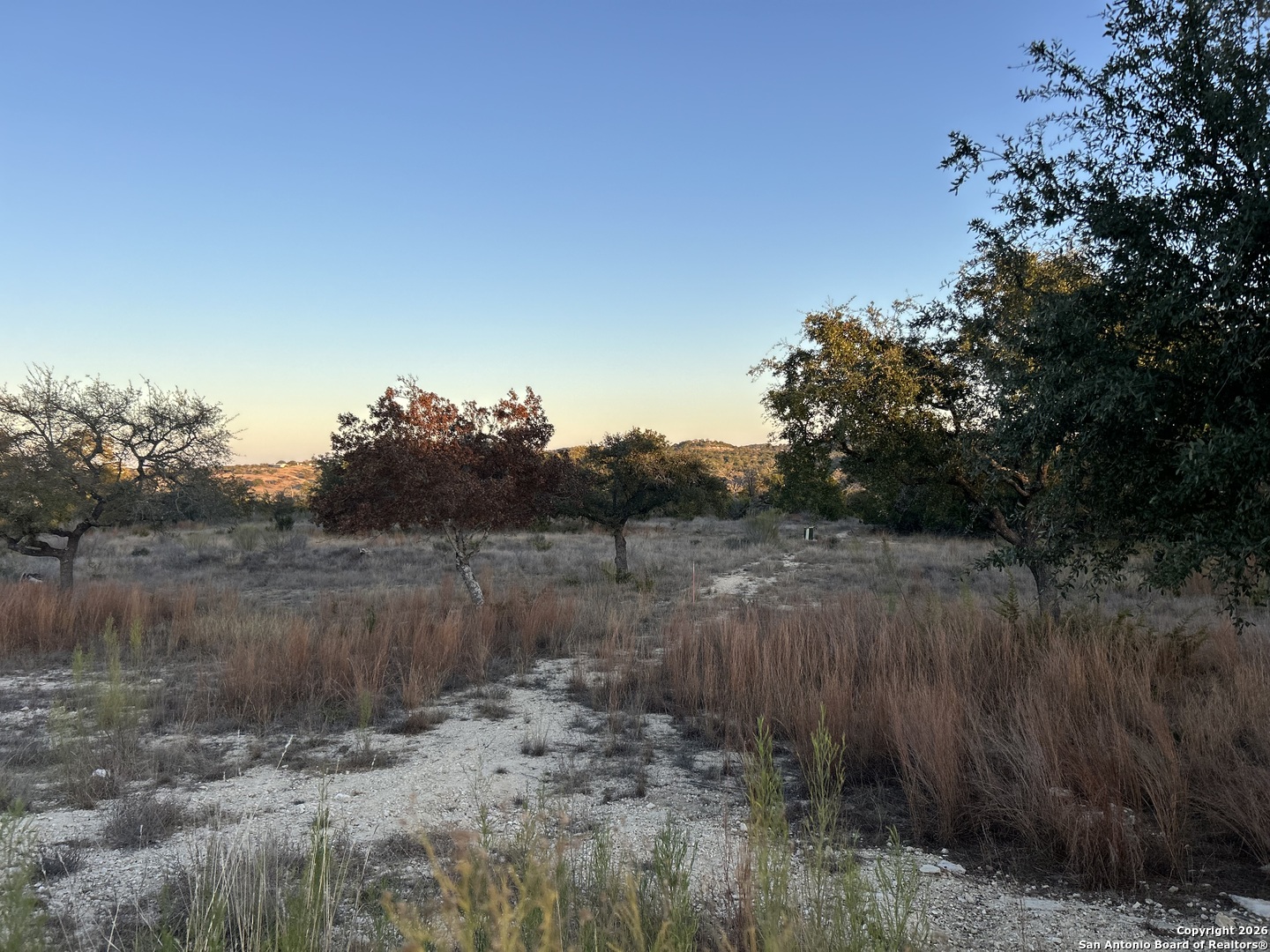 Lot 47 Ashtons Way Kerrville, TX 78028 - Photo 5 of 25 a view of a dry yard with trees