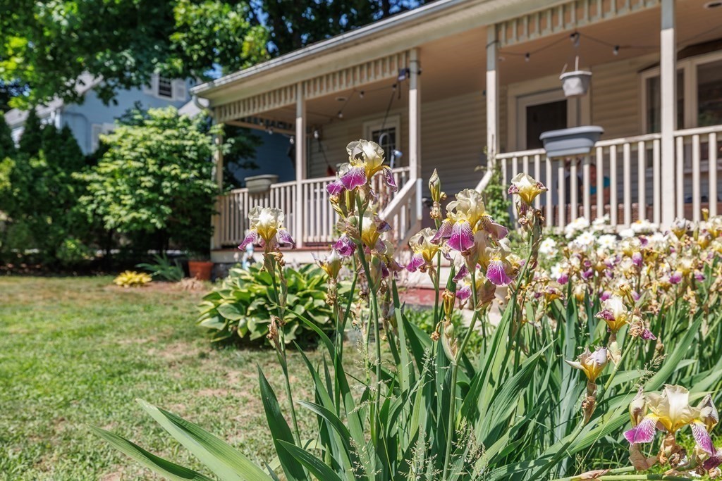 110 Chester Street Worcester, MA 01605 - Photo 19 of 19 a view of a house with a flower garden