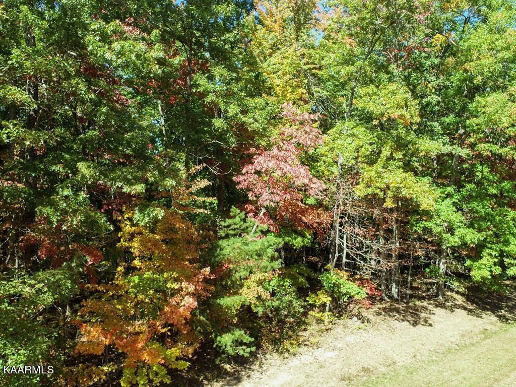 Tower Road Monterey, TN 38574 - Photo 4 of 6 photo3