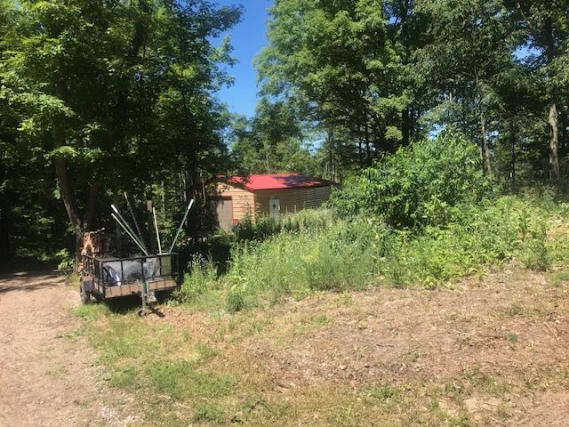 1520 North Haze Road Beulah, MI 49617 - Photo 10 of 46 1849436-9.JPG
