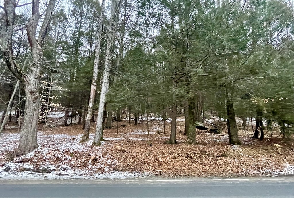 0 Bromley Road Huntington, MA 01050 - Photo 1 of 8 Gallery Image 1
