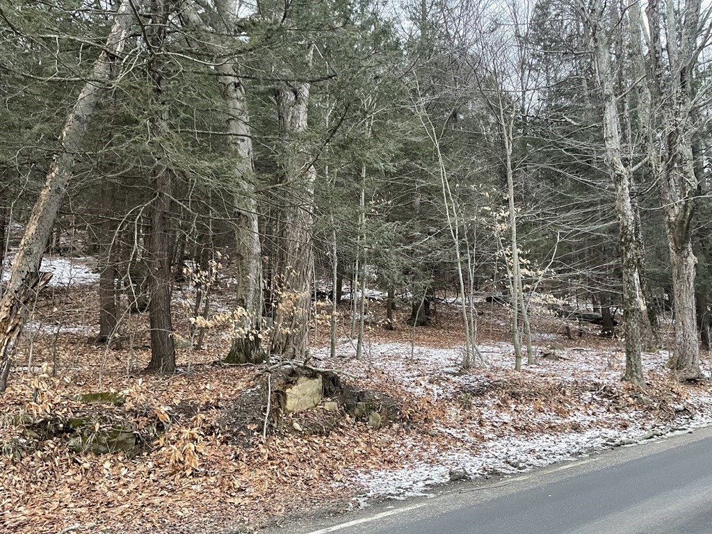 0 Bromley Road Huntington, MA 01050 - Photo 2 of 8 Gallery Image 2