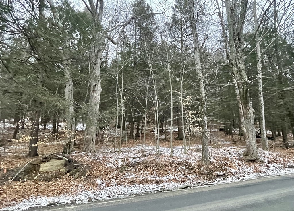 0 Bromley Road Huntington, MA 01050 - Photo 6 of 8 Gallery Image 6