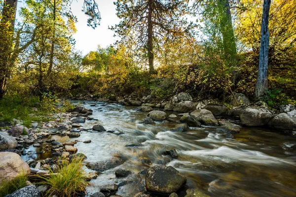 $4,950,000 | 373 Highway 193, Banner, WY 82832