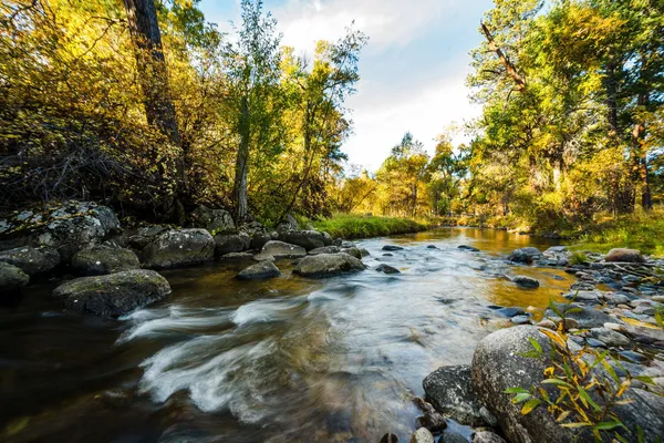 $4,950,000 | 373 Highway 193, Banner, WY 82832