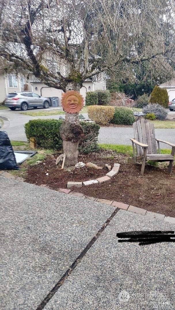 23304 Bothell Everett Highway Bothell, WA 98021 - Photo 32 of 35 a view of a park with large trees