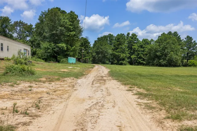 a view of a yard with an trees
