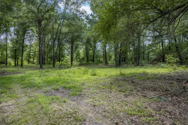 a view of outdoor space with green field and trees