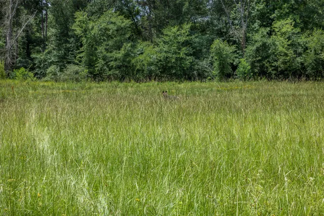 a view of a green field