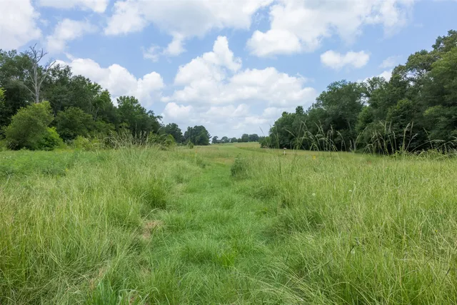 a view of a green field with lots of bushes