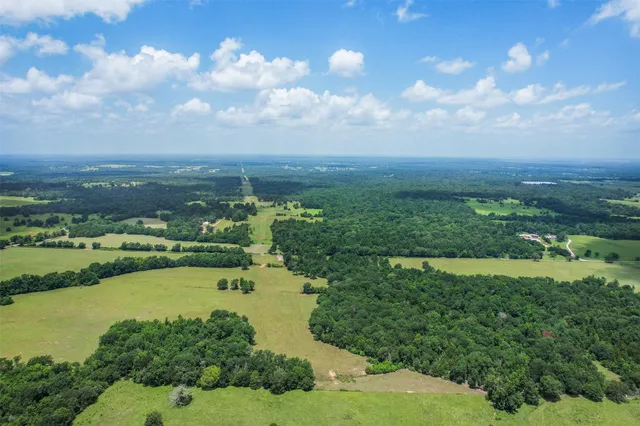 a view of a lake with a city