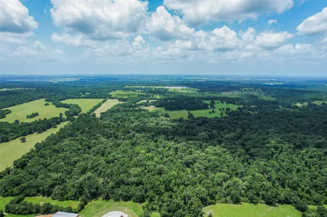 a view of a bunch of trees