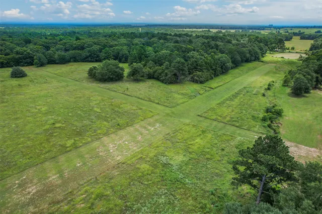 a view of a field with an trees