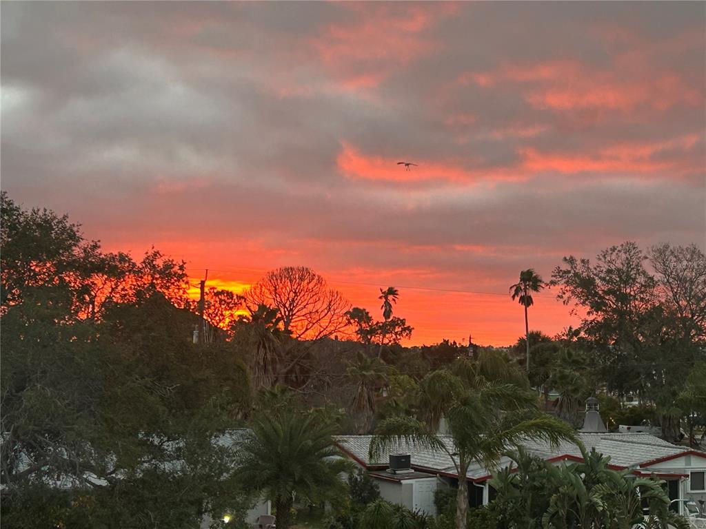 8210 Aquila Street, Unit 223 Port Richey, FL 34668 - Photo 29 of 36 a view of a city