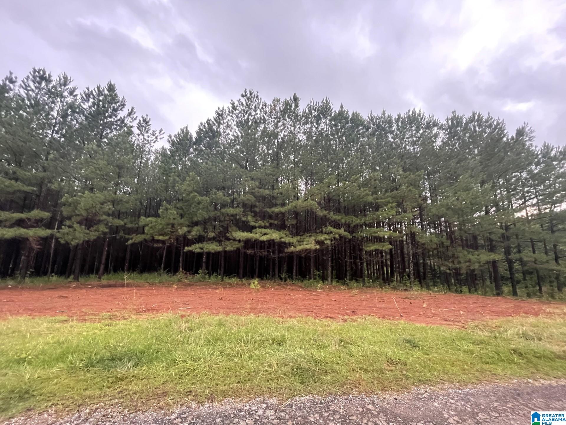 673 County Road, Unit 5 6 Woodland, AL 36280 - Photo 1 of 10