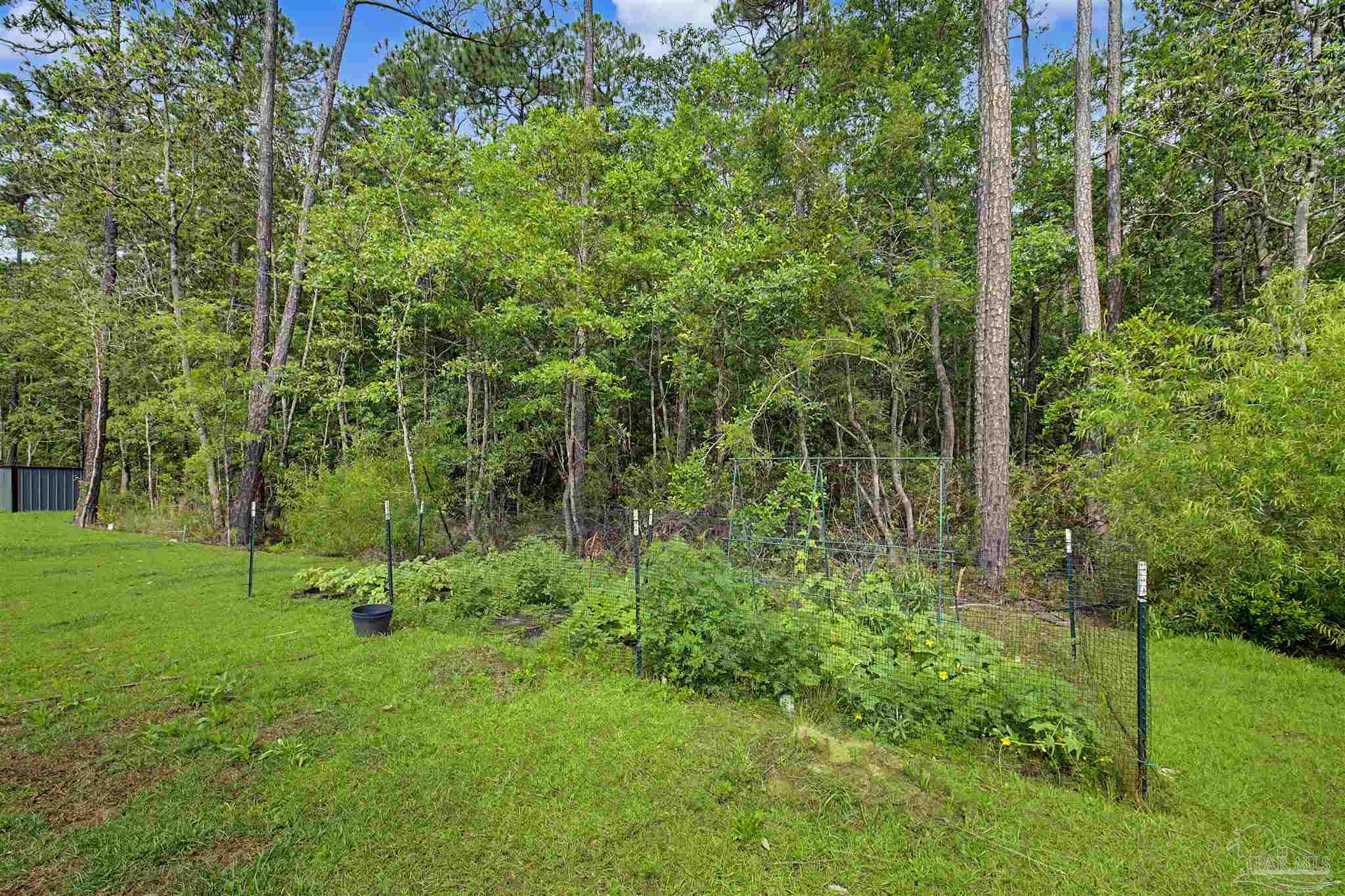2549 Ten Mile Road Pace, FL 32571 - Photo 39 of 46 a view of a green field with a tree