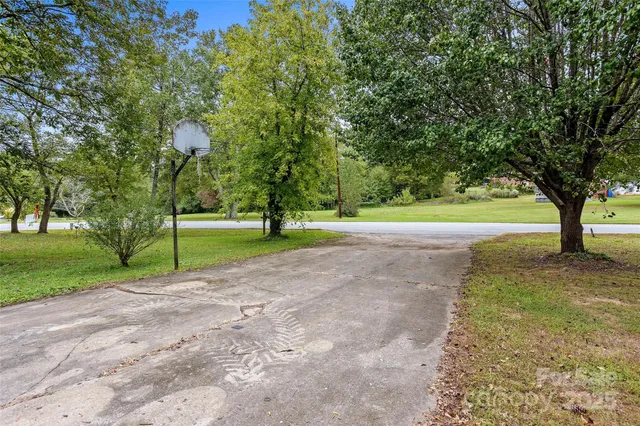 a view of a park with large trees