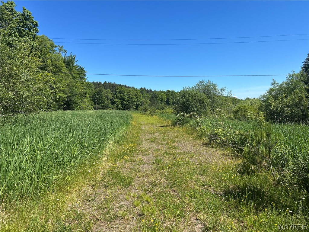 Warner Hill Road South Wales, NY 14139 - Photo 1 of 5