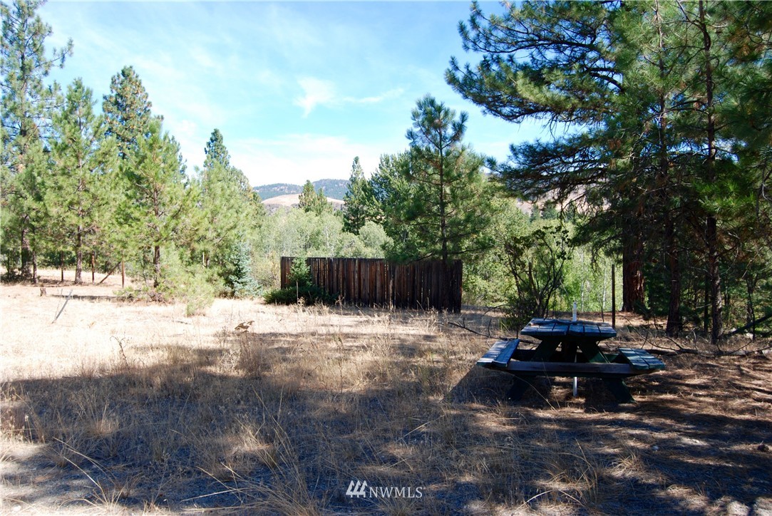 24 A Northcott Road Winthrop, WA 98862 - Photo 14 of 25 Gallery Image 14