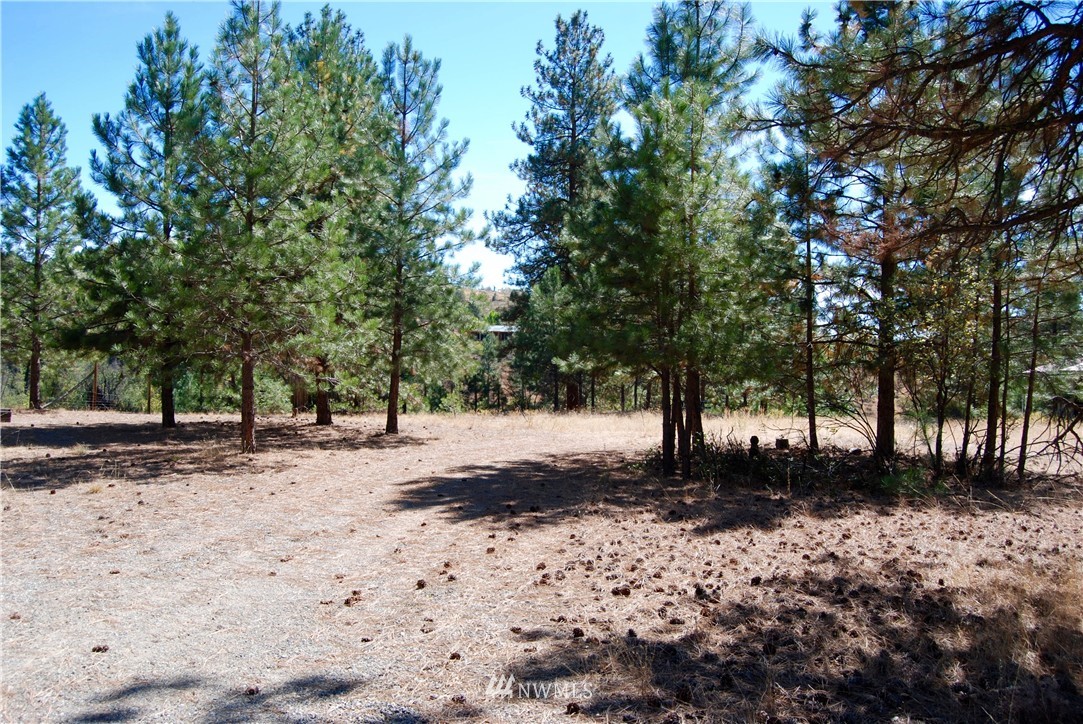 24 A Northcott Road Winthrop, WA 98862 - Photo 15 of 25 Gallery Image 15