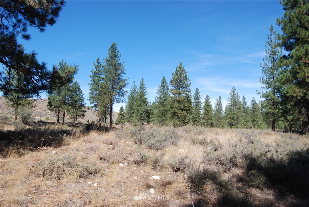 24 A Northcott Road Winthrop, WA 98862 - Photo 17 of 25 Gallery Image 17