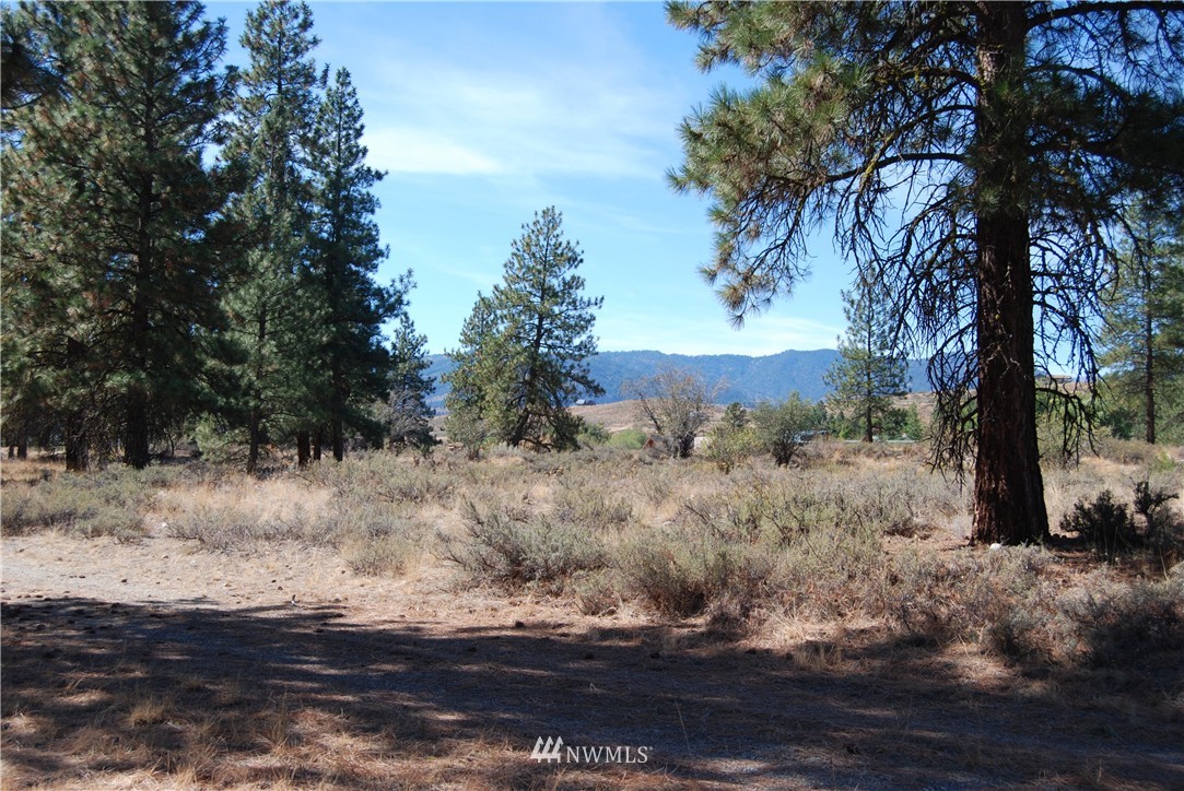 24 A Northcott Road Winthrop, WA 98862 - Photo 18 of 25 Gallery Image 18