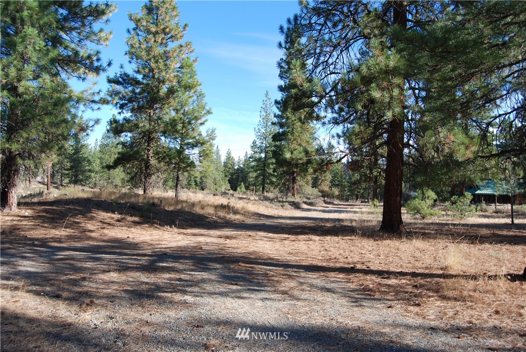 24 A Northcott Road Winthrop, WA 98862 - Photo 19 of 25 Gallery Image 19
