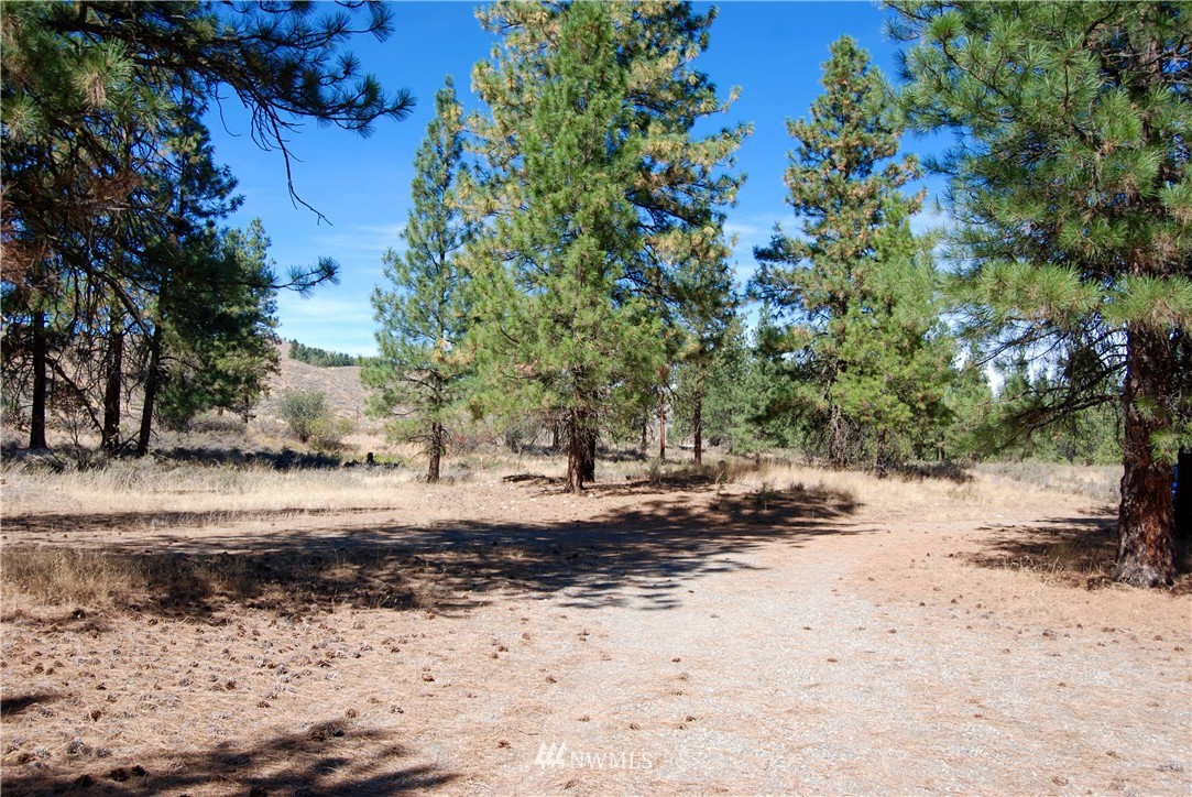 24 A Northcott Road Winthrop, WA 98862 - Photo 3 of 25 Gallery Image 3