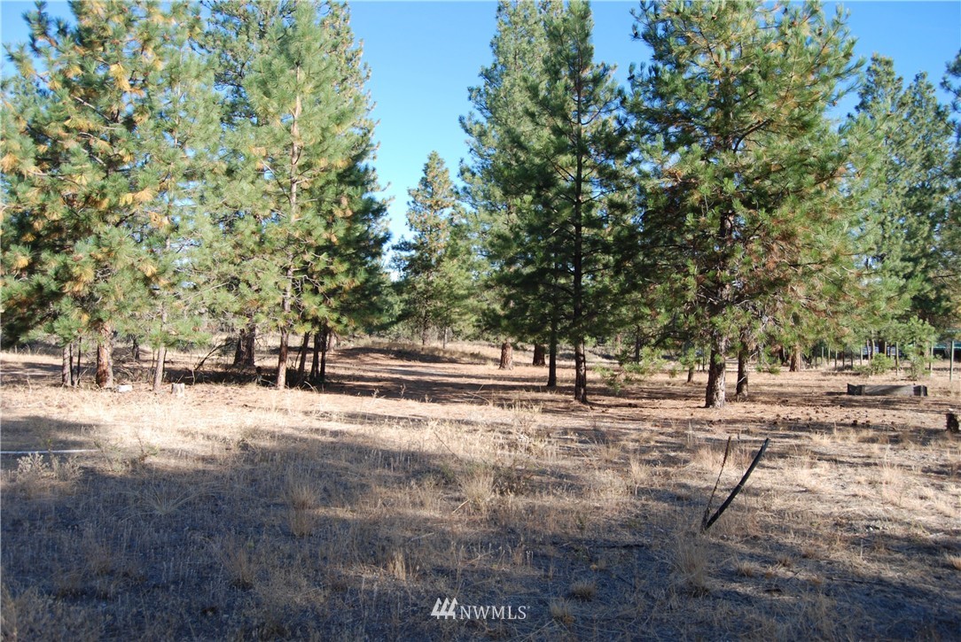 24 A Northcott Road Winthrop, WA 98862 - Photo 21 of 25 Gallery Image 21