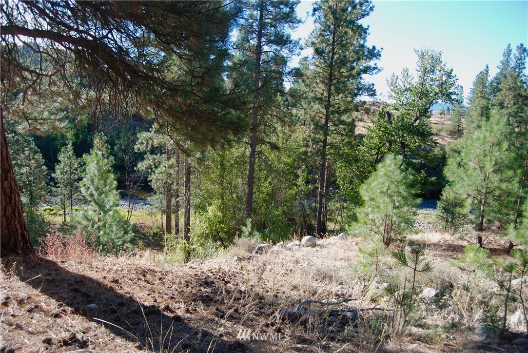 24 A Northcott Road Winthrop, WA 98862 - Photo 4 of 25 Gallery Image 4