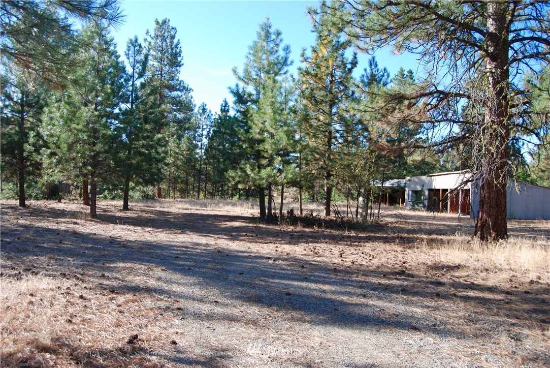 24 A Northcott Road Winthrop, WA 98862 - Photo 6 of 25 Gallery Image 6