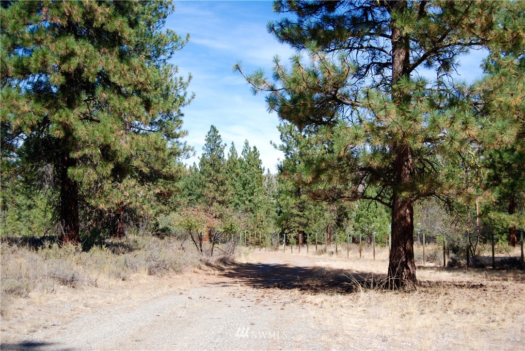 24 A Northcott Road Winthrop, WA 98862 - Photo 7 of 25 Gallery Image 7