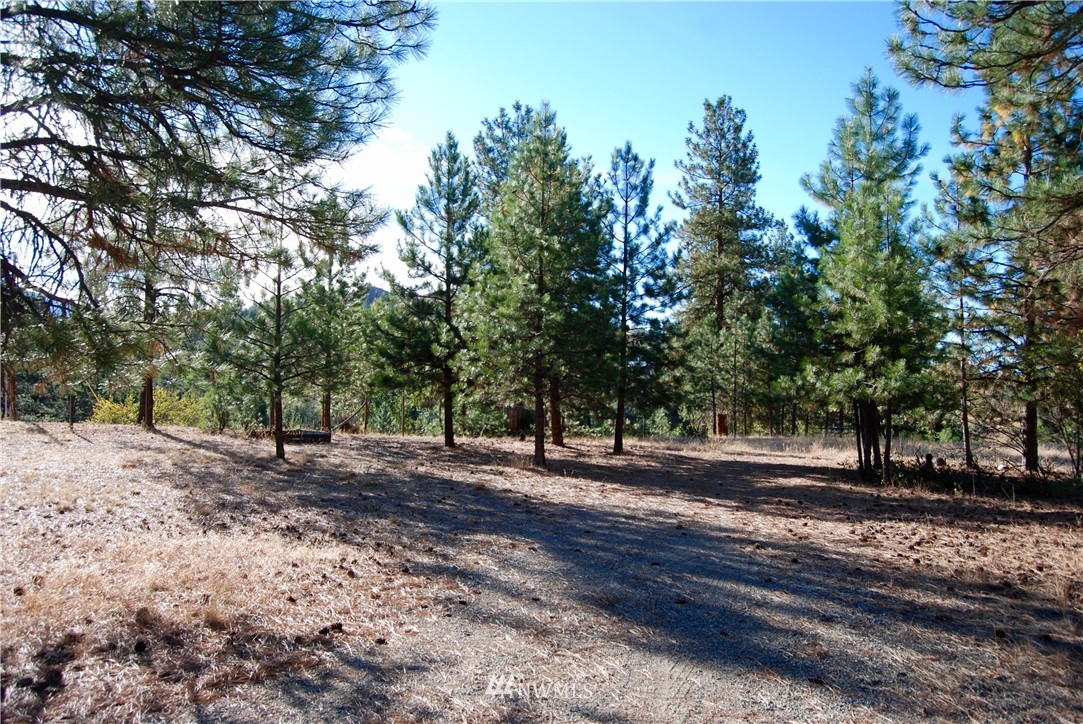 24 A Northcott Road Winthrop, WA 98862 - Photo 10 of 25 Gallery Image 10