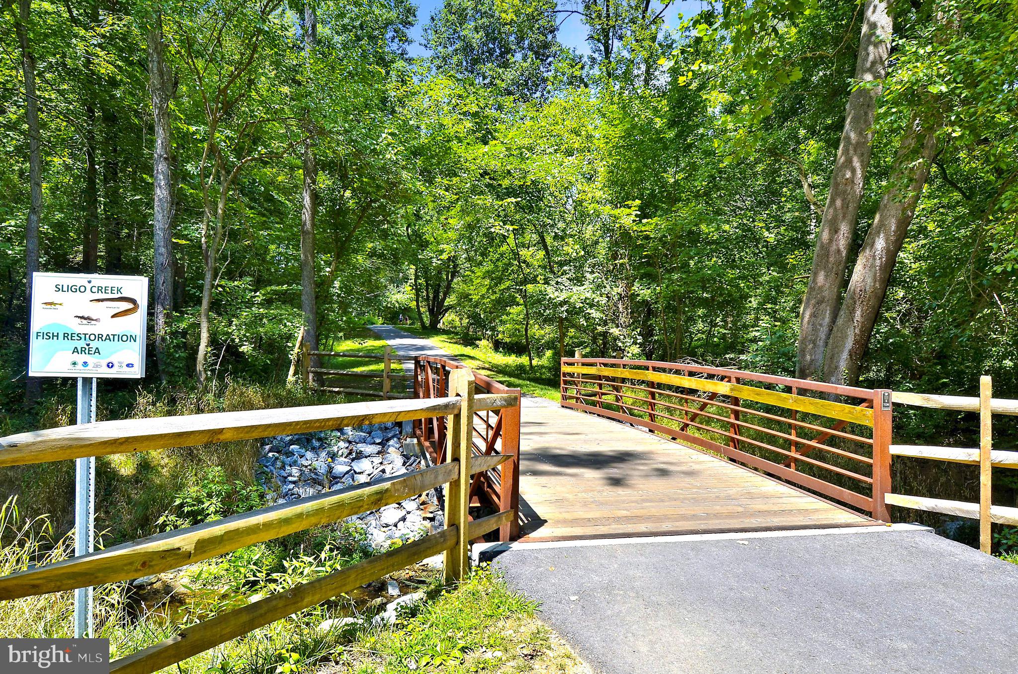 2112 Cascade Road Silver Spring, MD 20902 - Photo 87 of 88 Sligo Creek Parkway Walking Paths