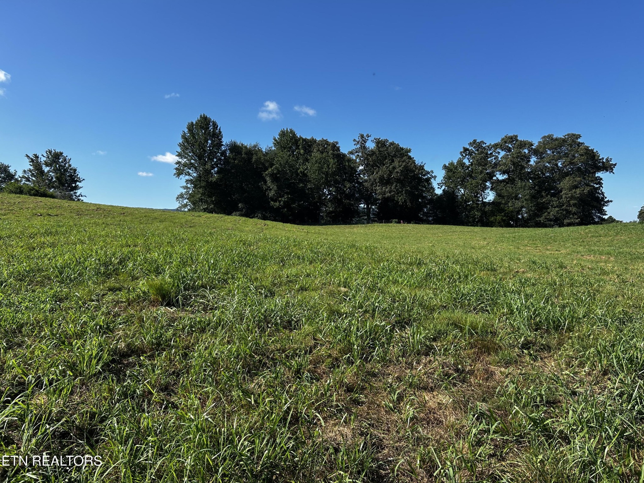 2 Reliance Road Tellico Plains, TN 37385 - Photo 1 of 2