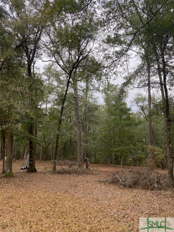 1199 Chimney Road Rincon, GA 31326 - Photo 3 of 8