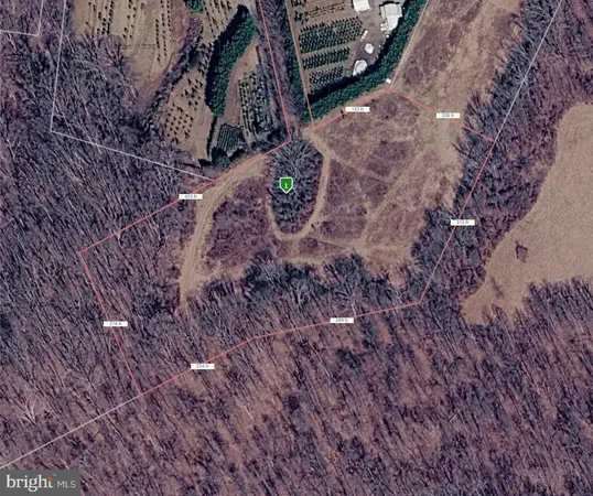 a view of an outdoor space