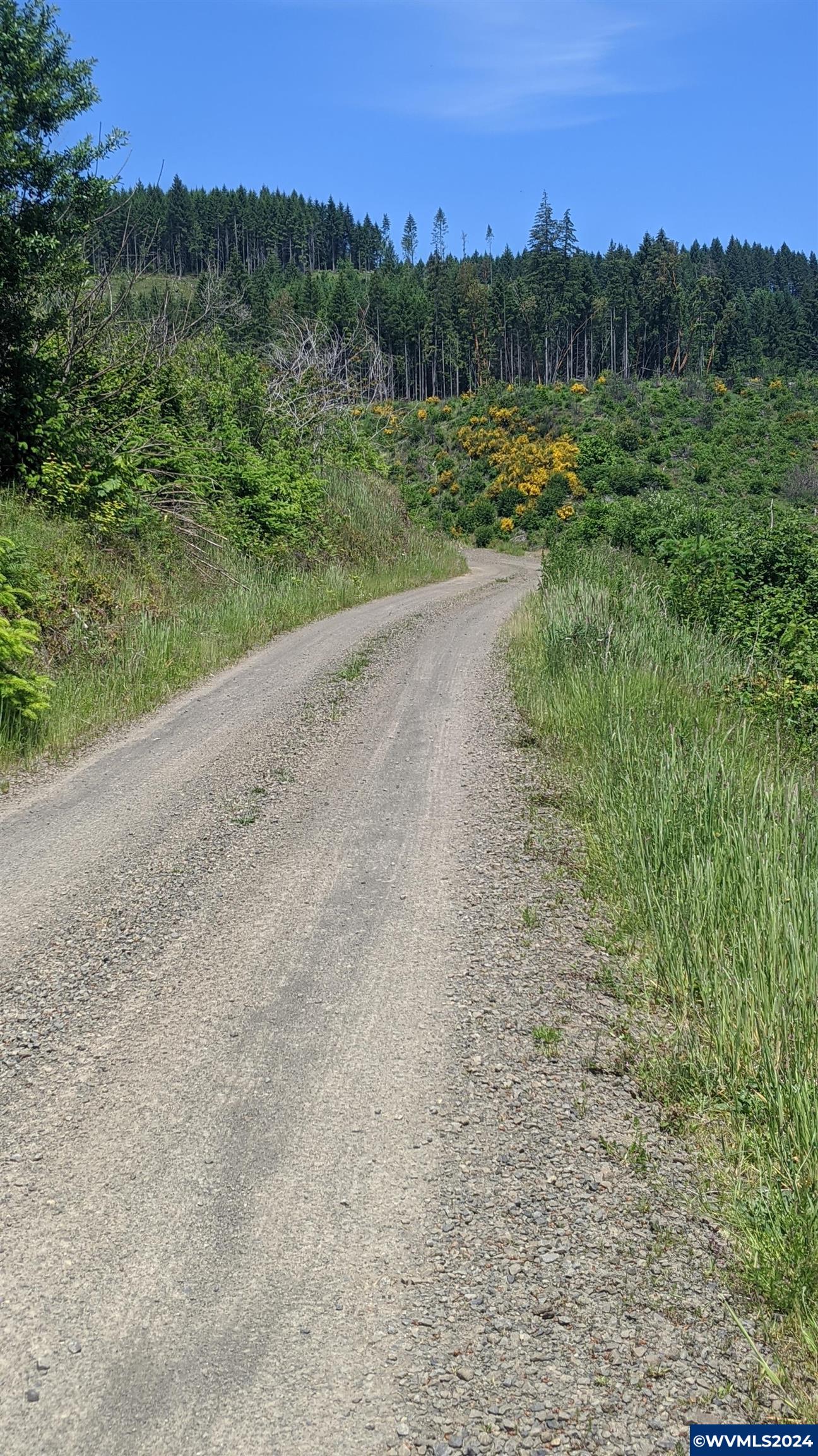 Northwest Timmerman Road Forest Grove, OR 97116 - Photo 5 of 12