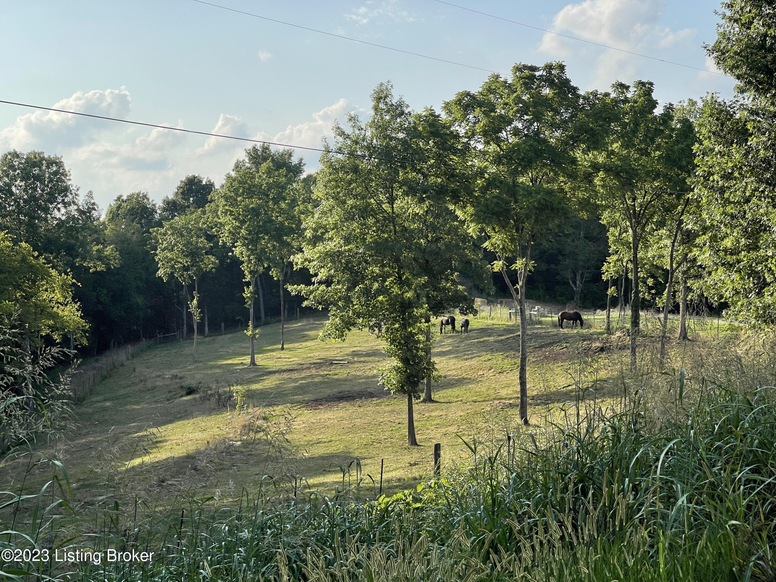 10155 Cedar Grove Road Shepherdsville, KY 40165 - Photo 22 of 59 IMG_9077