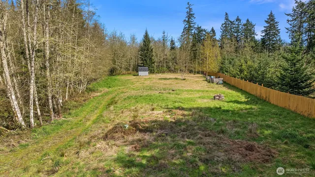 a view of a yard with large trees