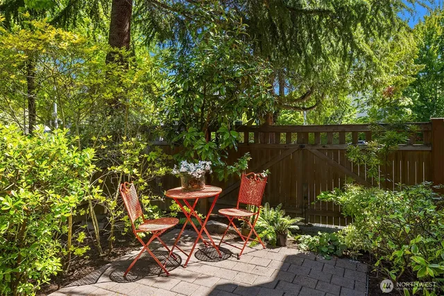 a view of a backyard with plants and a tree