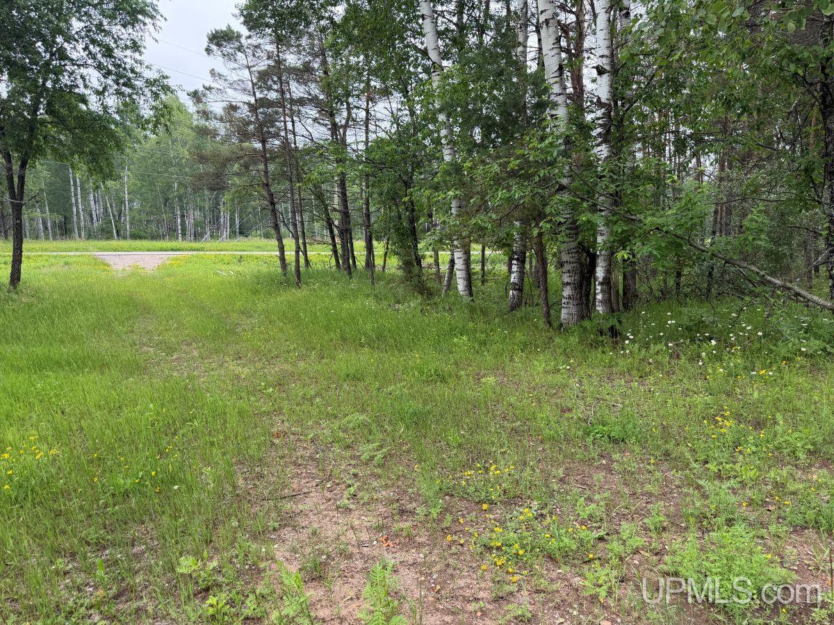 Tbd Bellagomba Road Iron Mountain, MI 49801 - Photo 3 of 6
