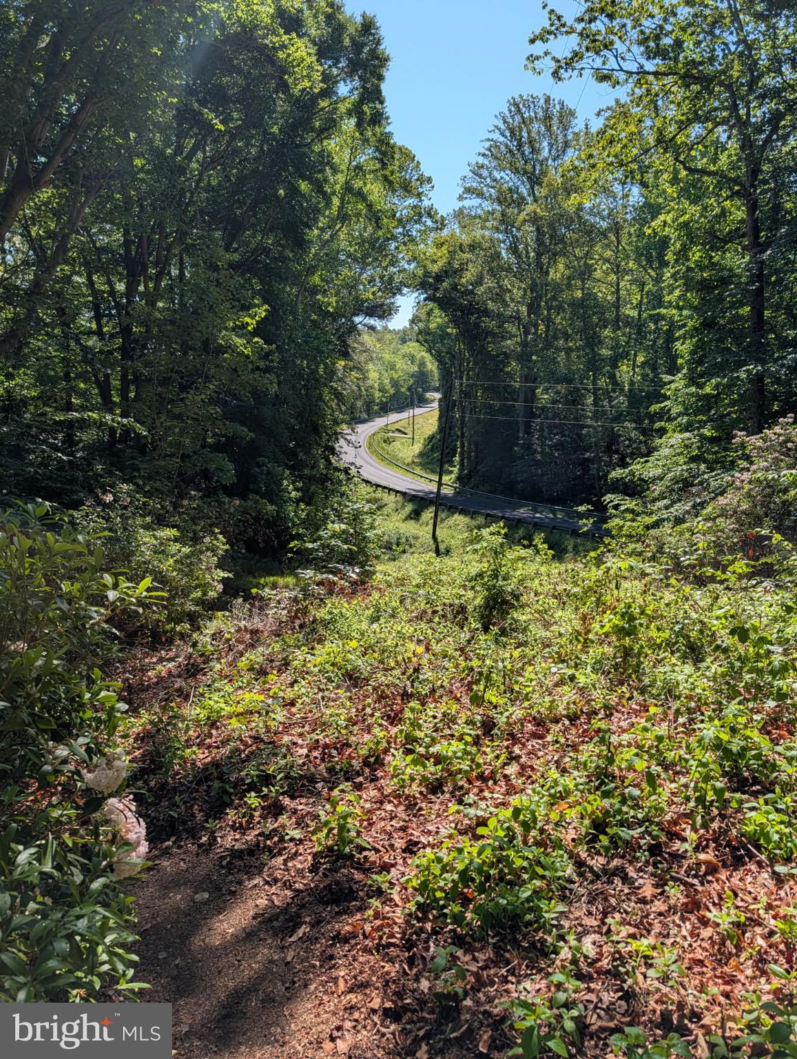 4631 Nomini Hall Road Hague, VA 22469 - Photo 57 of 62