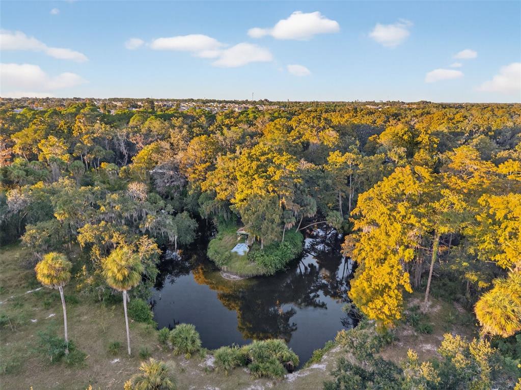 6346 Lost Trail Holiday, FL 34690 - Photo 45 of 55 a view of city and swimming pool