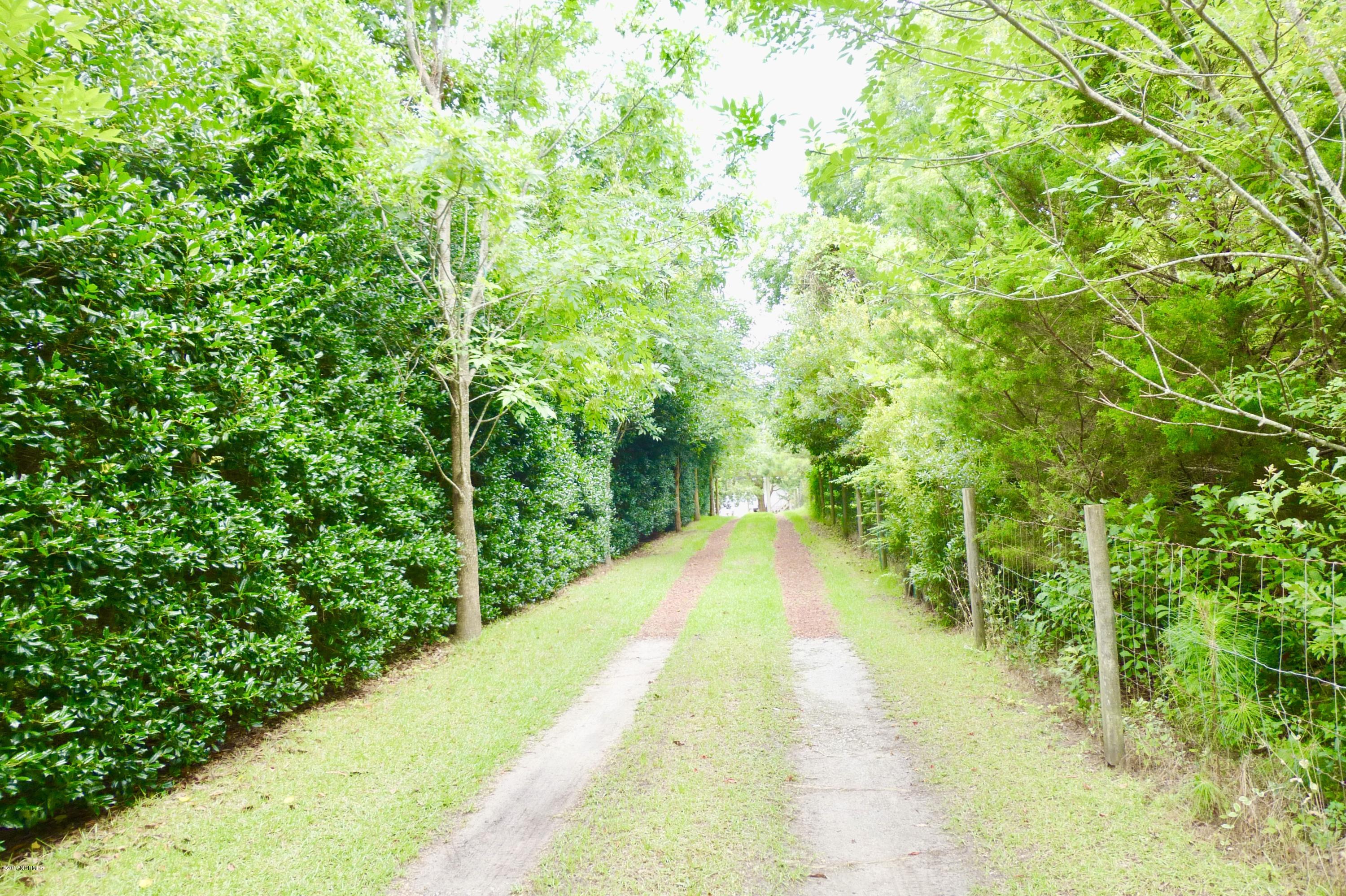 213 Shore Road Newport, NC 28570 - Photo 2 of 19 Private entrance from Shore Road
