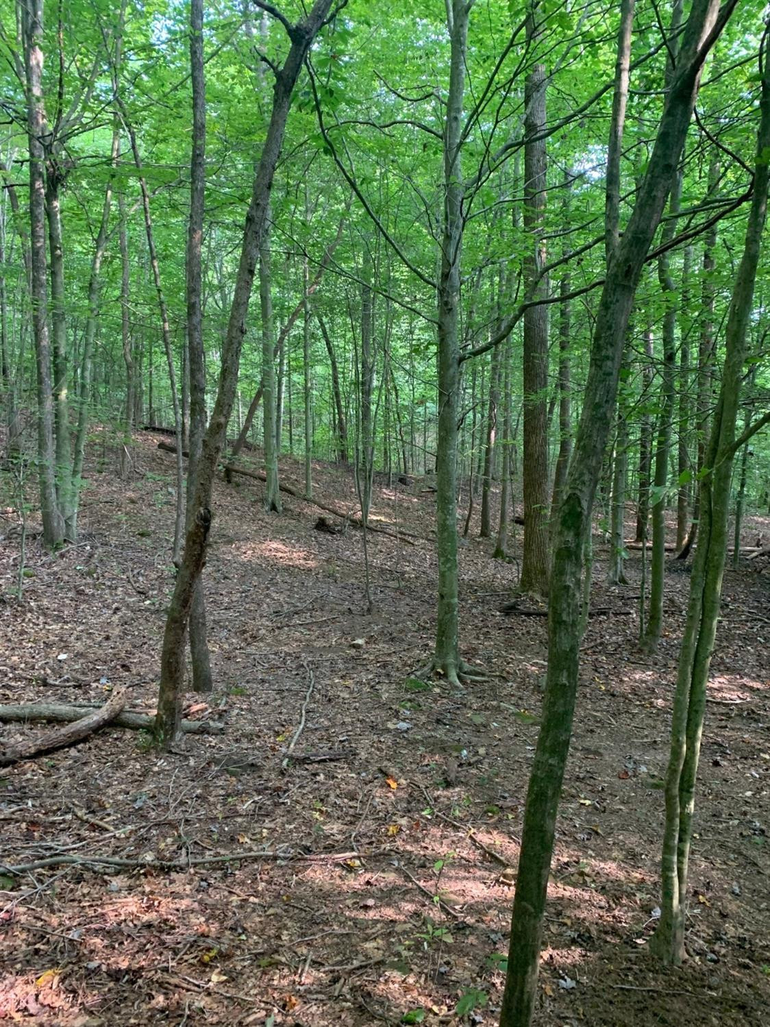 0 Upper Cane Creek Road Stanton, KY 40380 - Photo 24 of 34 Photo 25