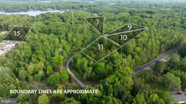 a view of a bunch of trees