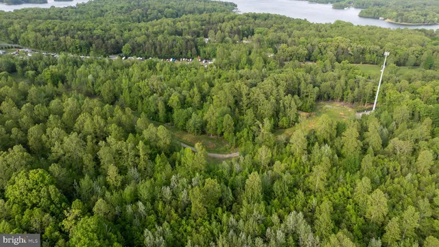 a view of a lush green forest with a lush green forest