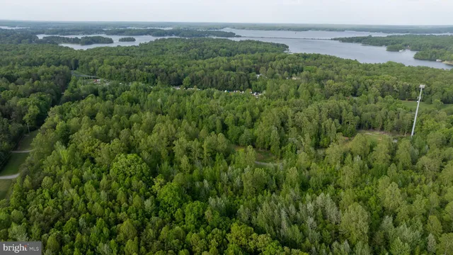 a view of a green field with lots of tall trees